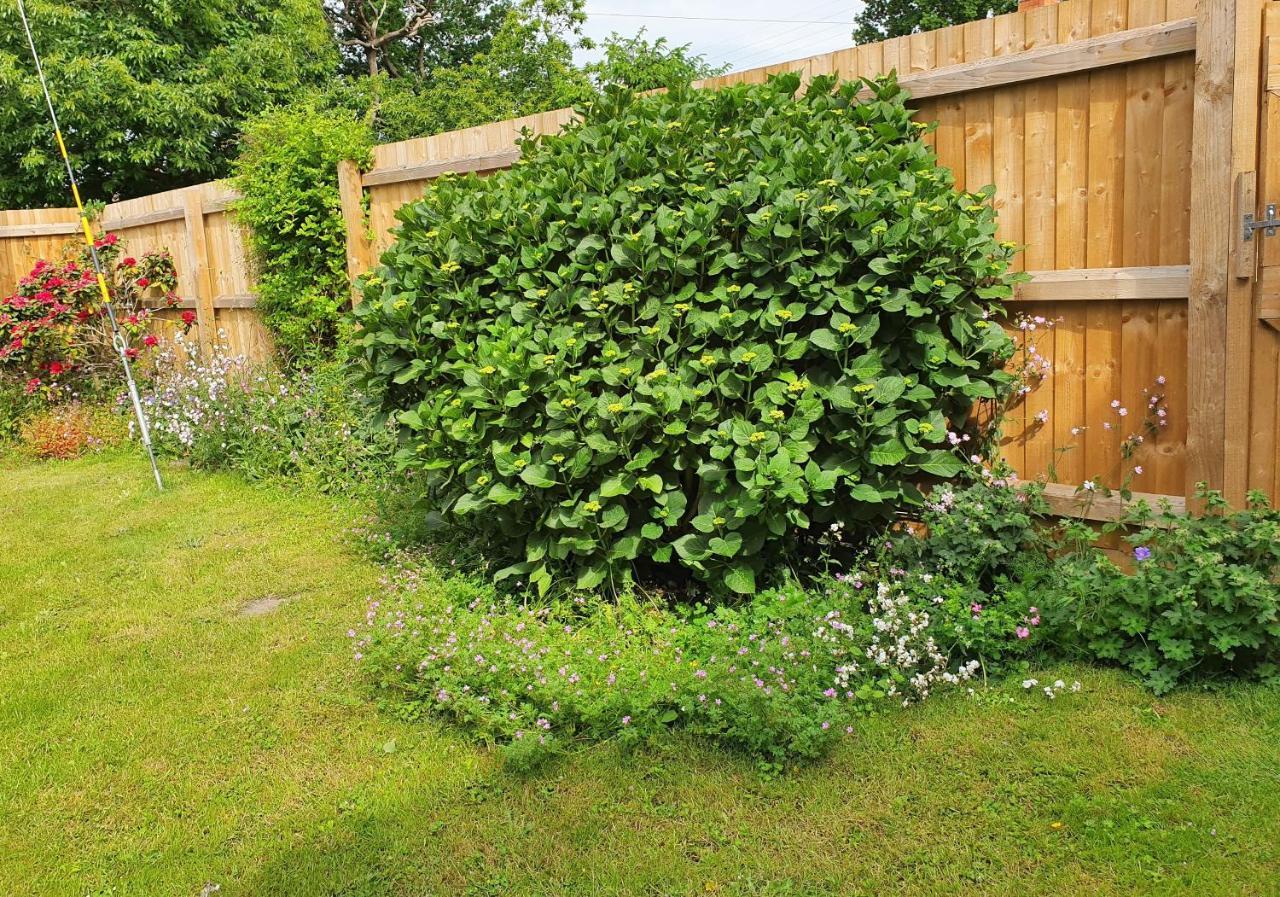 Forest Farm Papplewick Nottingham - Spacious Self-Contained Rural Retreat! Esterno foto