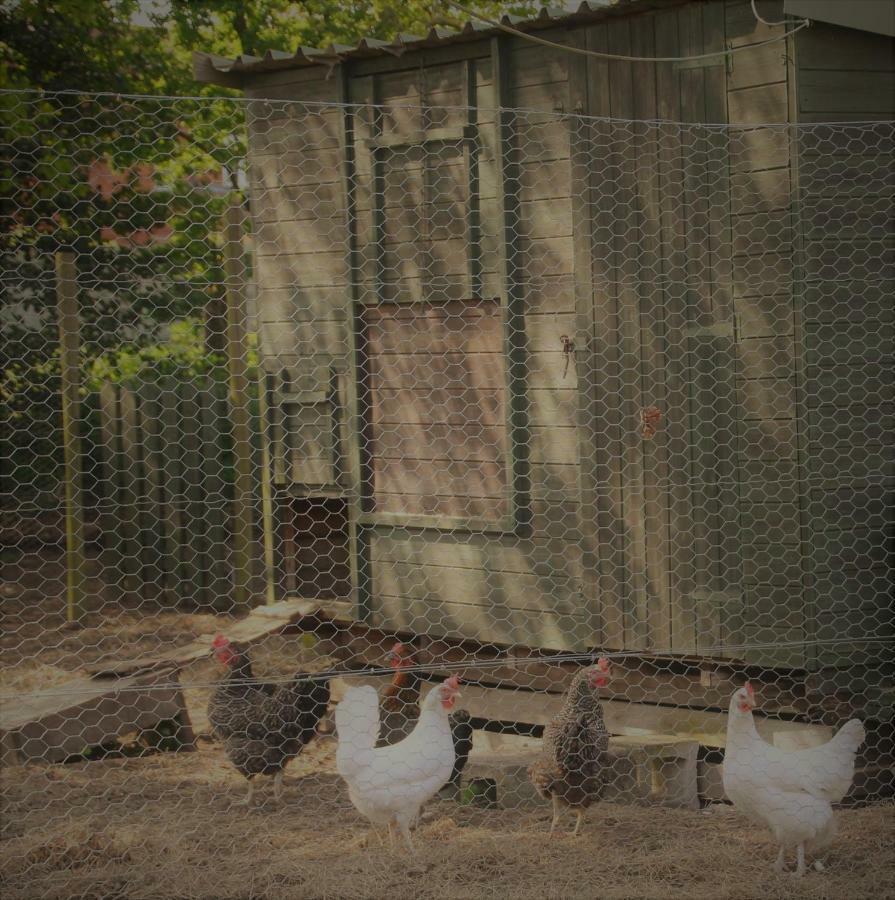Forest Farm Papplewick Nottingham - Spacious Self-Contained Rural Retreat! Esterno foto